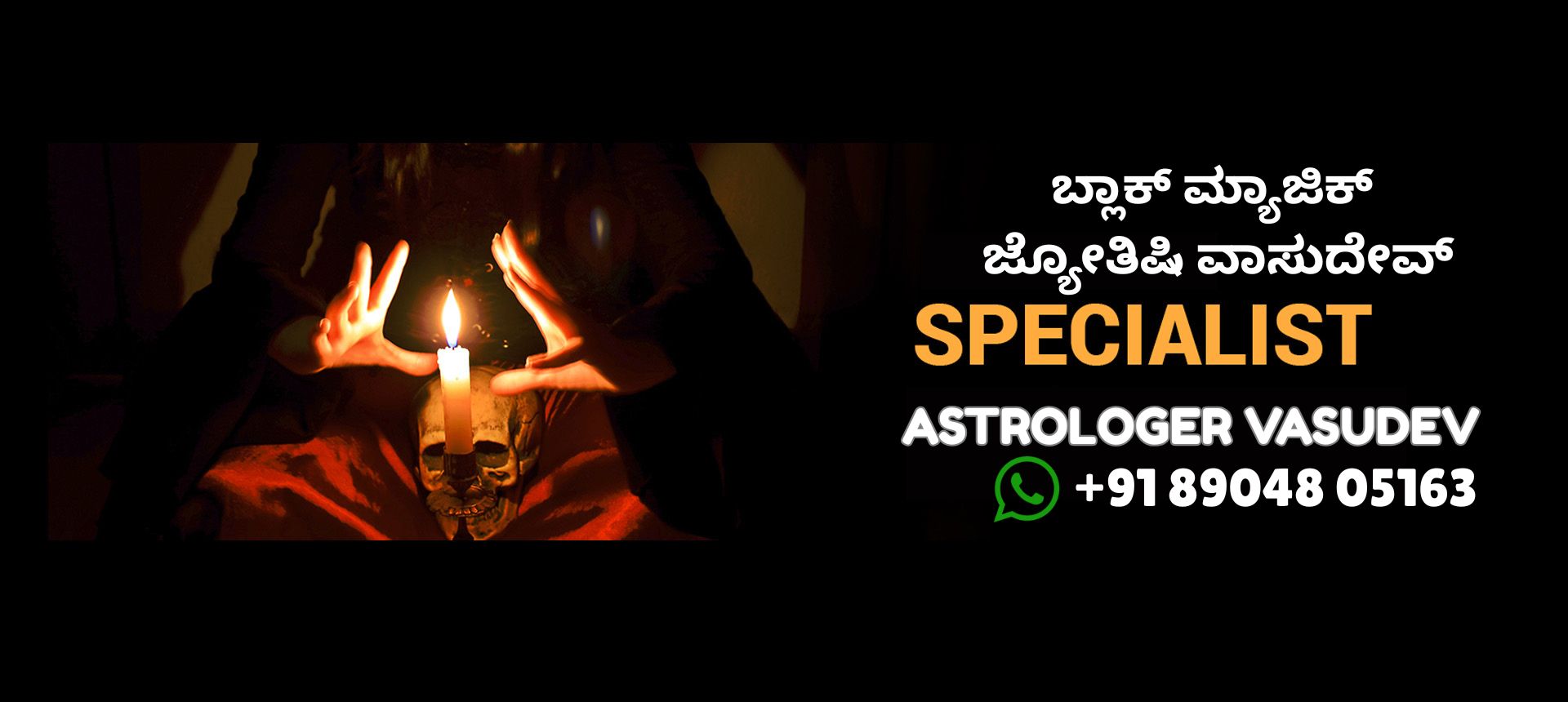 famous Astrologer in  